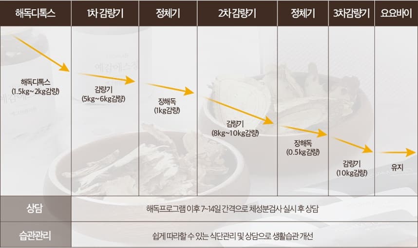 더예그린한의원 단계별 10kg 감량 및 유지관리 과정